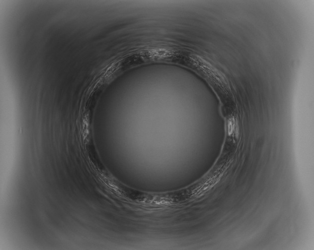 X0000116421011200912150954