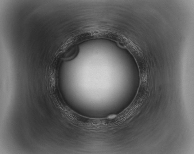 X0000116421012200912150954