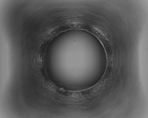 X0000116421013200912150954