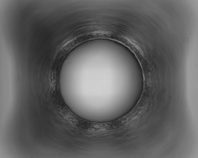 X0000116421015200912150954