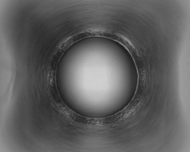 X0000116421016200912150954
