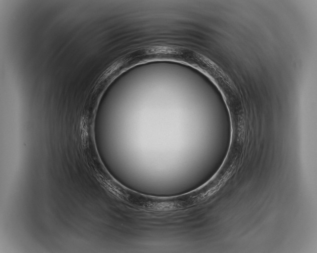 X0000116421017200912150954