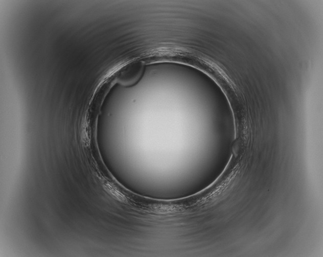 X0000116421018200912150954