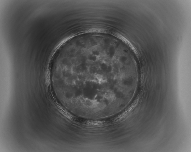 X0000116421019200912150954