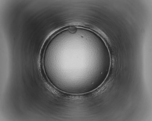 X0000116421020200912150954
