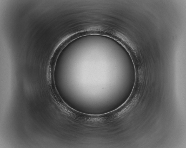 X0000116421021200912150954