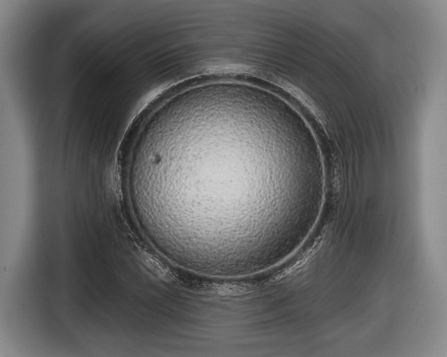 X0000116421022200912150954