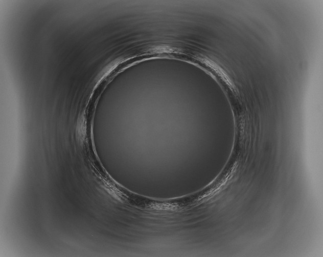 X0000116421023200912150954