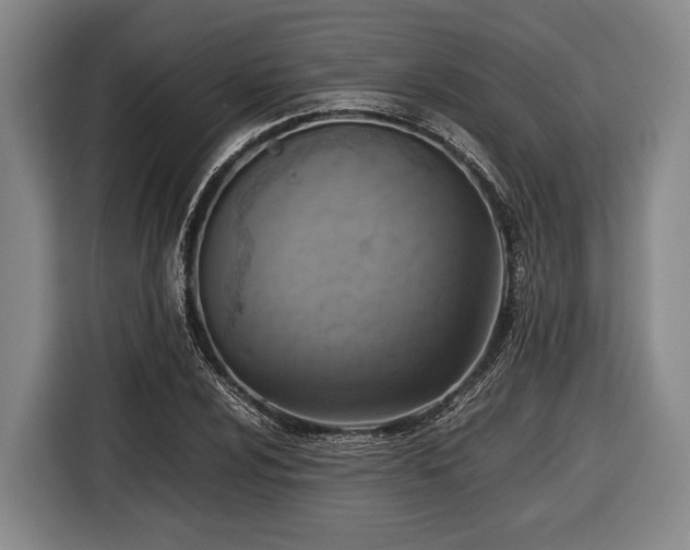 X0000116421024200912150954