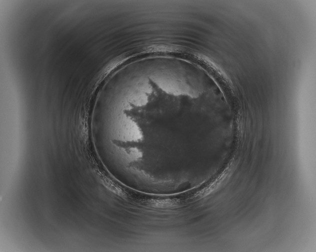 X0000116421025200912150954