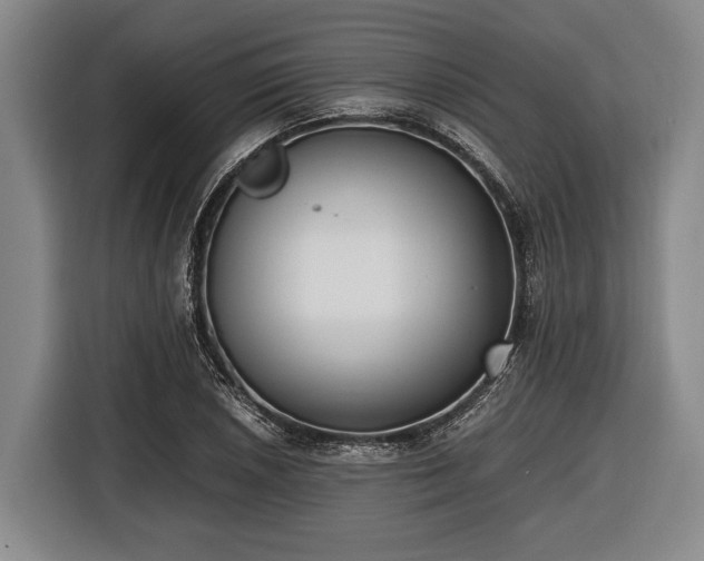 X0000116421026200912150954