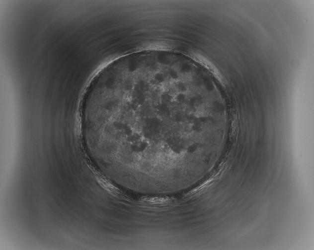 X0000116421027200912150954
