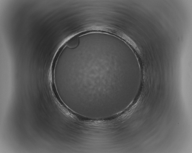 X0000116421028200912150954