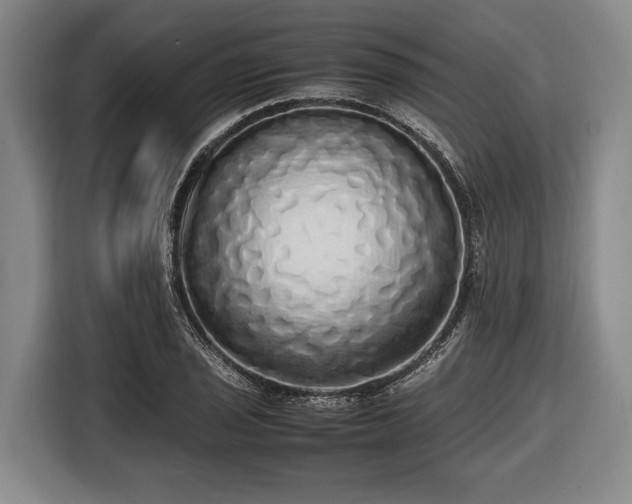 X0000116421029200912150954