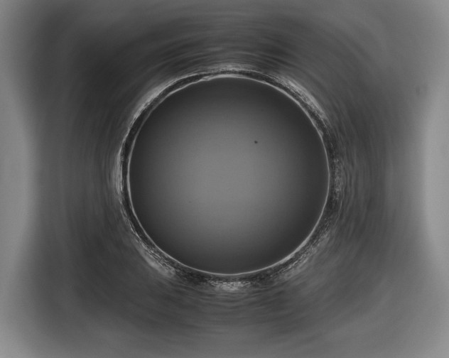 X0000116421031200912150954