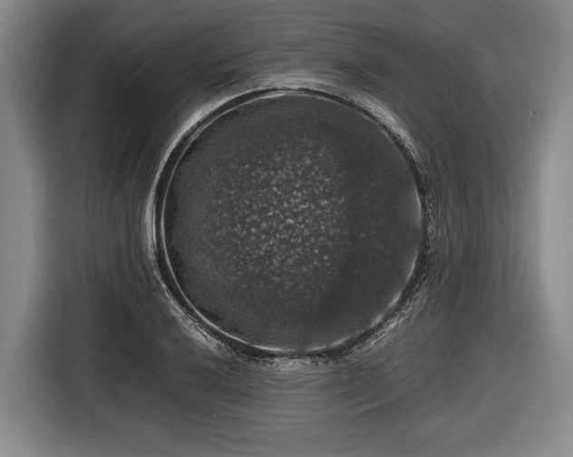 X0000116421032200912150954