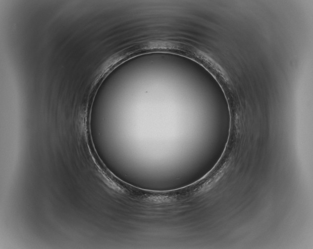 X0000116421033200912150954