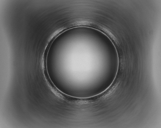 X0000116421034200912150954