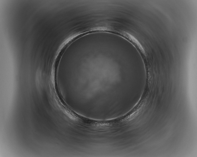 X0000116421035200912150954