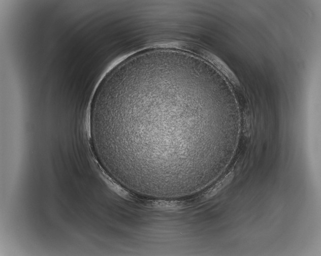 X0000116421036200912150954