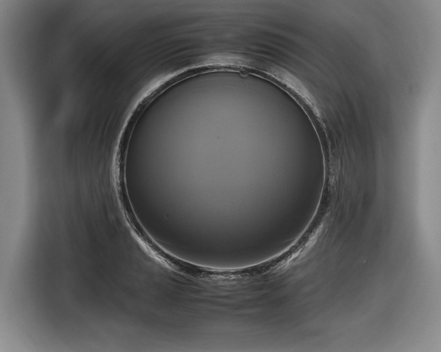 X0000116421037200912150954