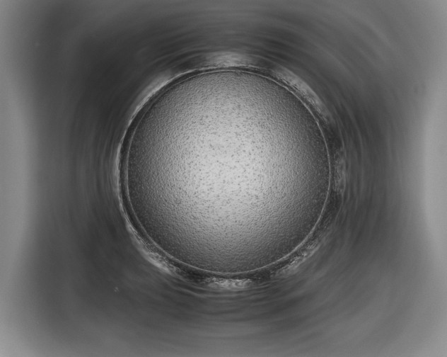 X0000116421039200912150954