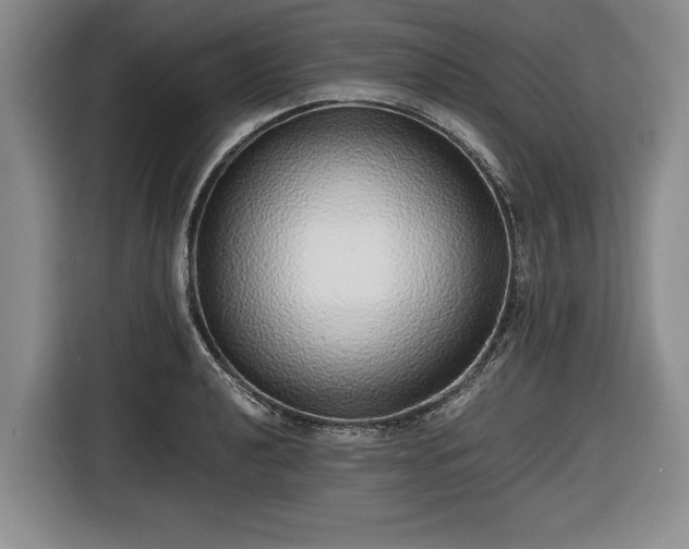 X0000116421040200912150954