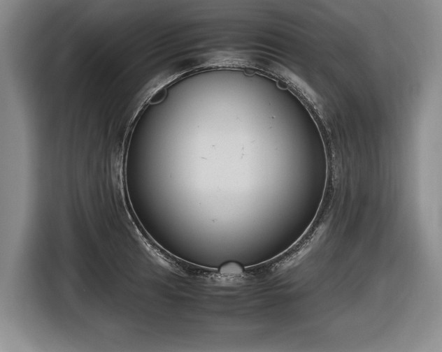 X0000116421041200912150954