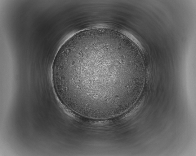 X0000116421047200912150954