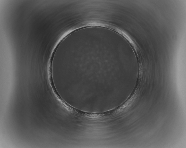 X0000116421048200912150954