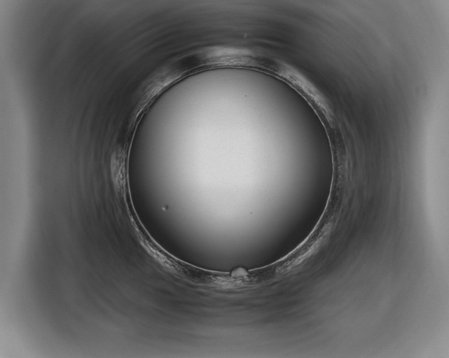 X0000116421049200912150954