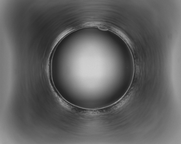 X0000116421050200912150954