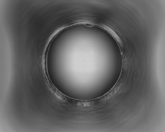 X0000116421051200912150954