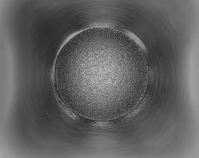 X0000116421052200912150954