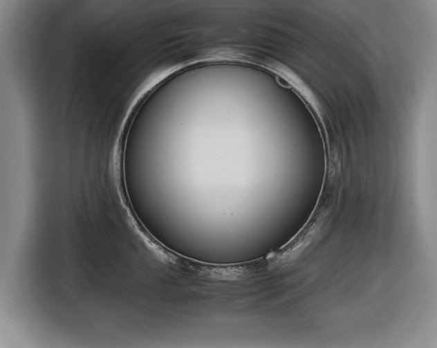X0000116421053200912150954
