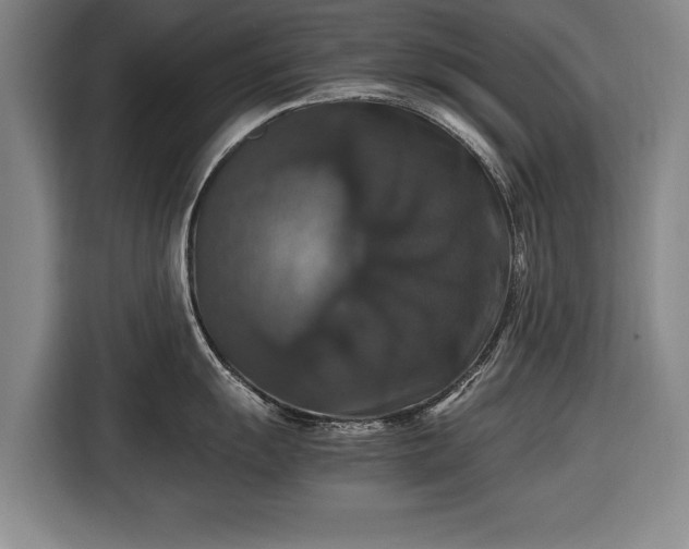 X0000116421055200912150954