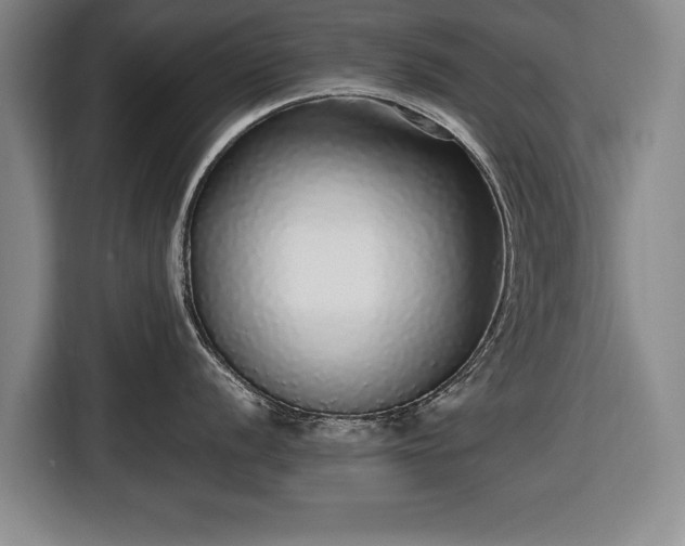 X0000116421056200912150954