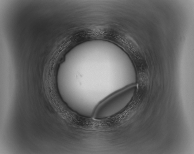 X0000116421057200912150954