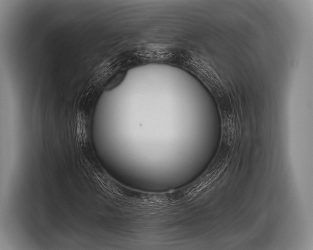 X0000116421058200912150954