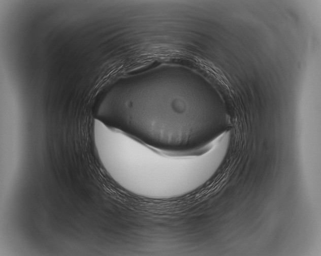 X0000116421060200912150954