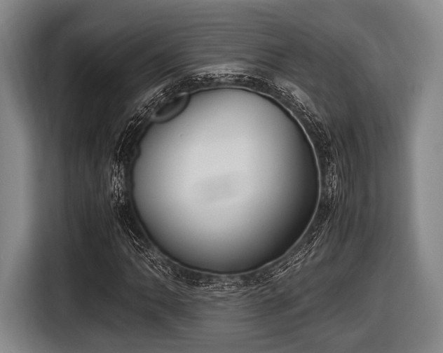 X0000116421062200912150954