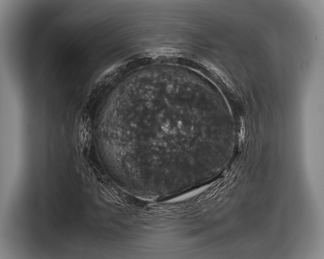 X0000116421063200912150954