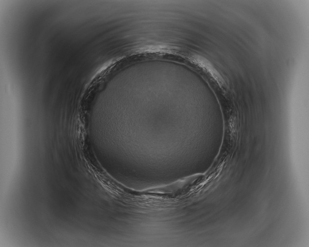 X0000116421064200912150954