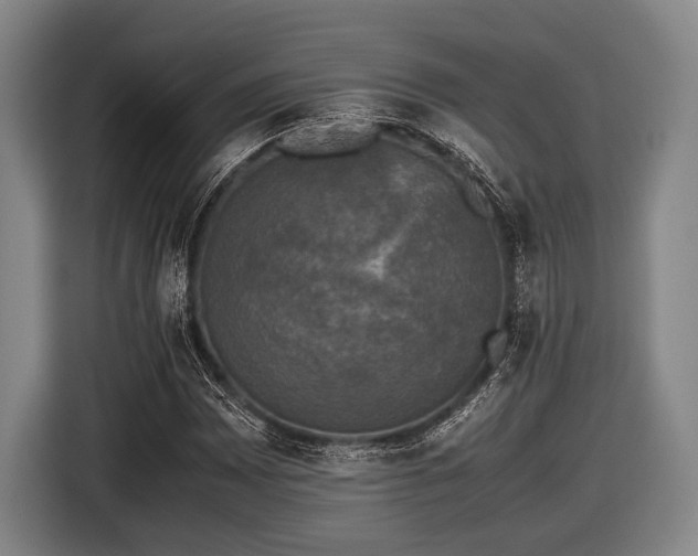 X0000116421065200912150954