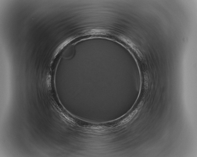 X0000116421066200912150954
