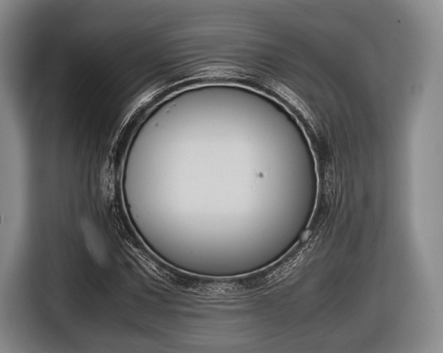 X0000116421067200912150953