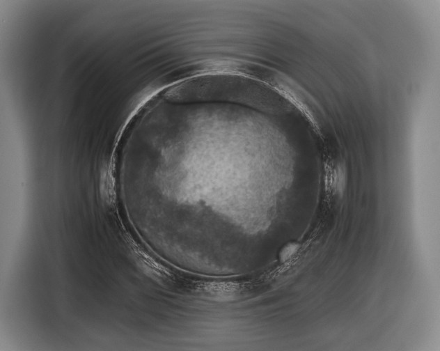 X0000116421068200912150953