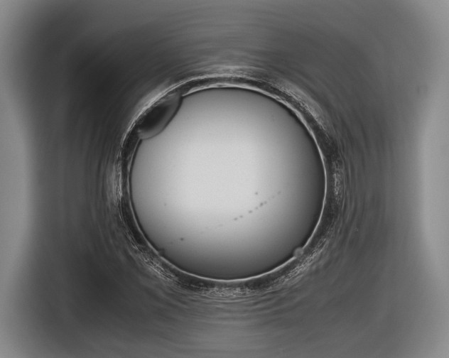 X0000116421069200912150953