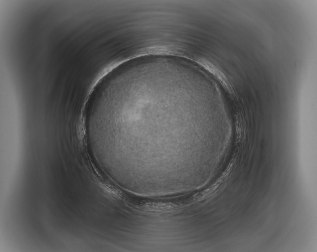 X0000116421070200912150953