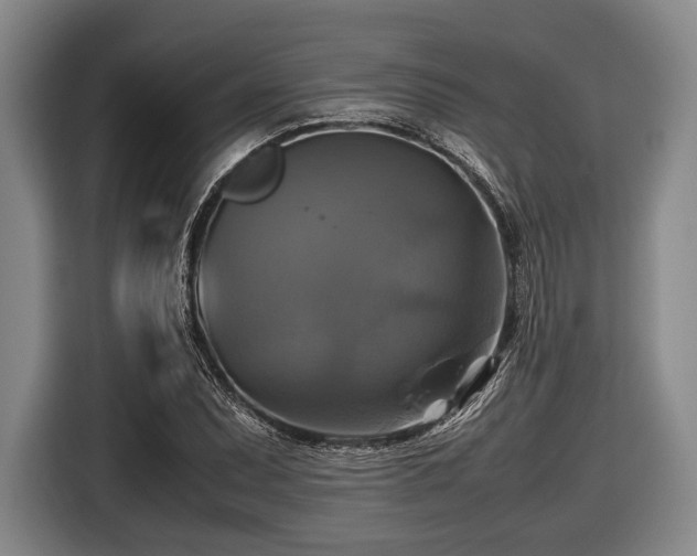 X0000116421071200912150953